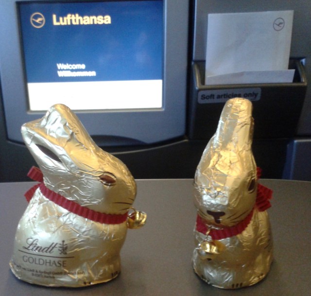 2013-03-28 10.40.43.jpg