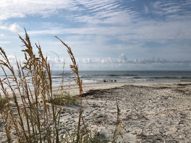 fullsizeoutput_10dae