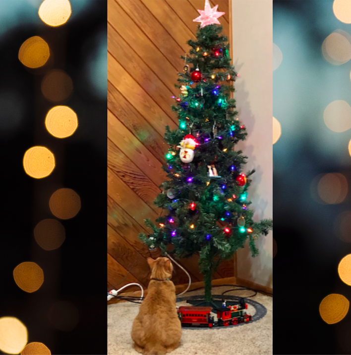 Screen Shot 2020-12-07 at 2.35.19 PM