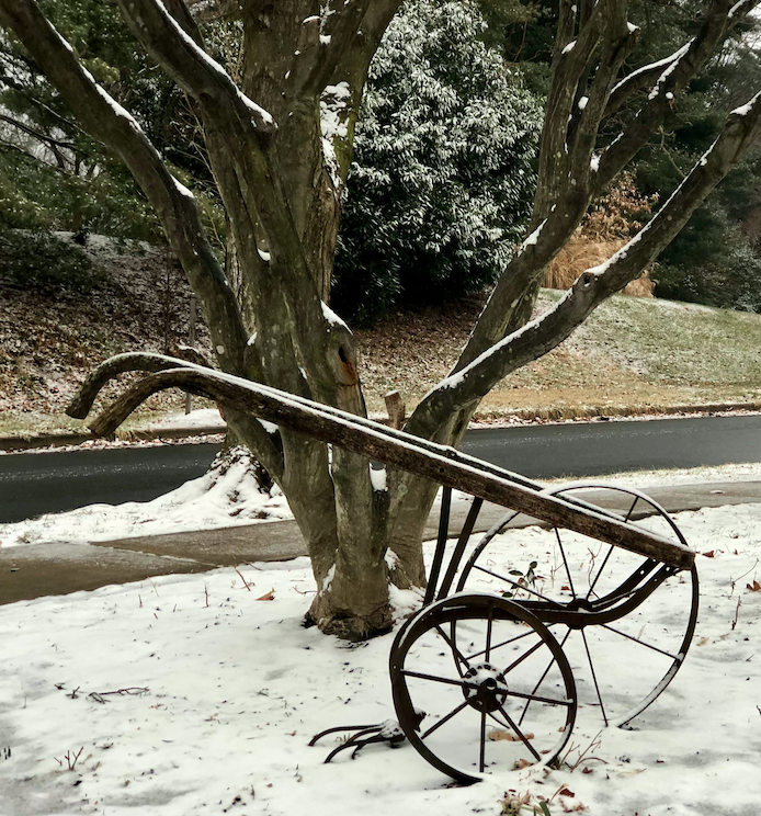 Screen Shot 2021-02-13 at 4.41.32 PM